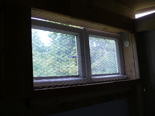P1270199 Fenster mit Hühnerdraht
