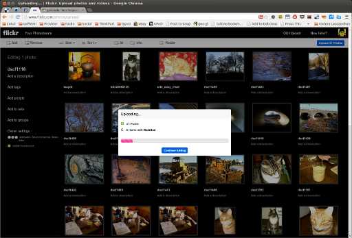 flickr Uploader