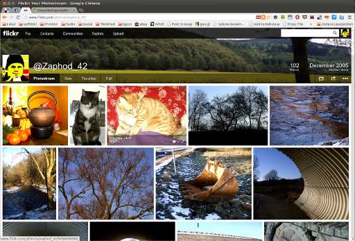Mein flickr