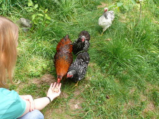Fütterung